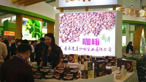 普洱市組團參加第五屆中國—南亞博覽會暨第二十五屆中國昆明進出口商品交易會，會議及展覽服務全面升級